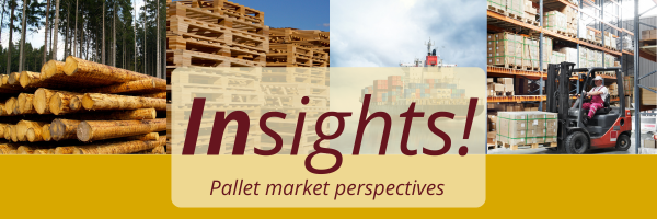 Insights – August